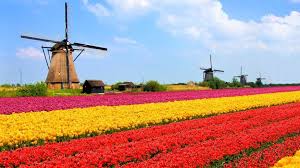 Нидерландские бизнес-переводы в SPerevod - это качественно и экономно